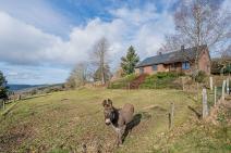 Holiday house in Lierneux for your holiday in the Ardennes with Ardennes-Etape