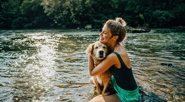 In these holiday homes, your dog is more than welcome