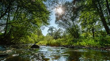                                           The Entre-Sambre-et-Meuse National Park                          