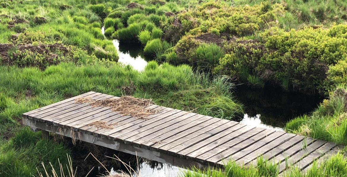 Balade Hautes fagnes