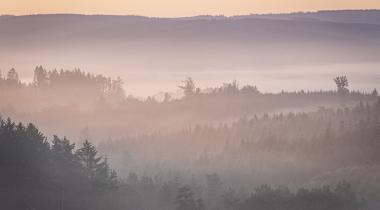 Des activités pour vous reconnecter à la nature