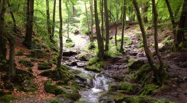 Rivière Ninglinspo Aywaille