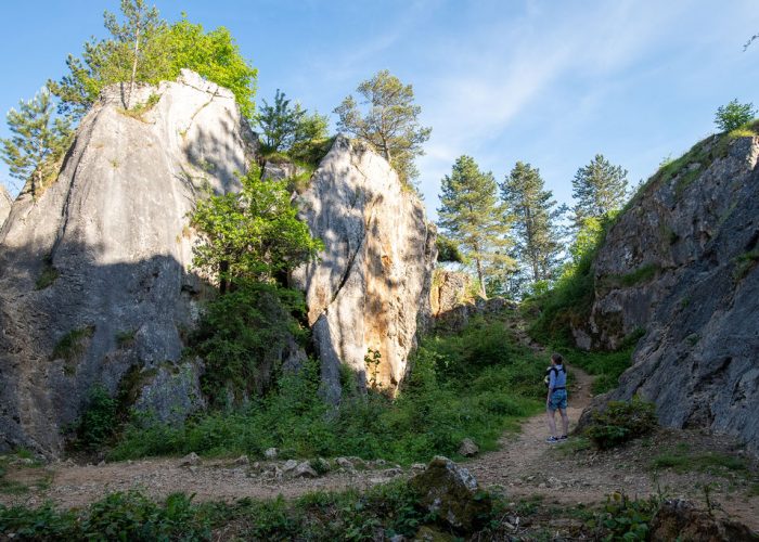 Belgian canyon at the Fondry des Chiens