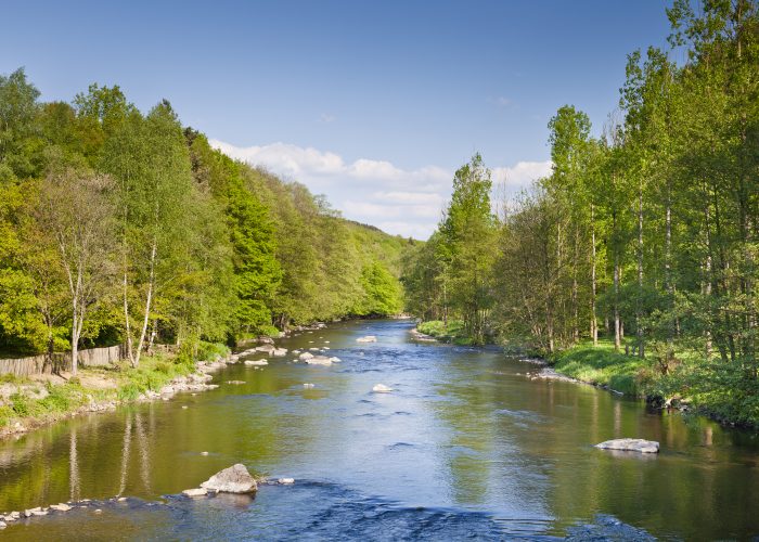 In the heart of nature or even in a hamlet, the Ardennes can provide you with the tranquillity that you want.
