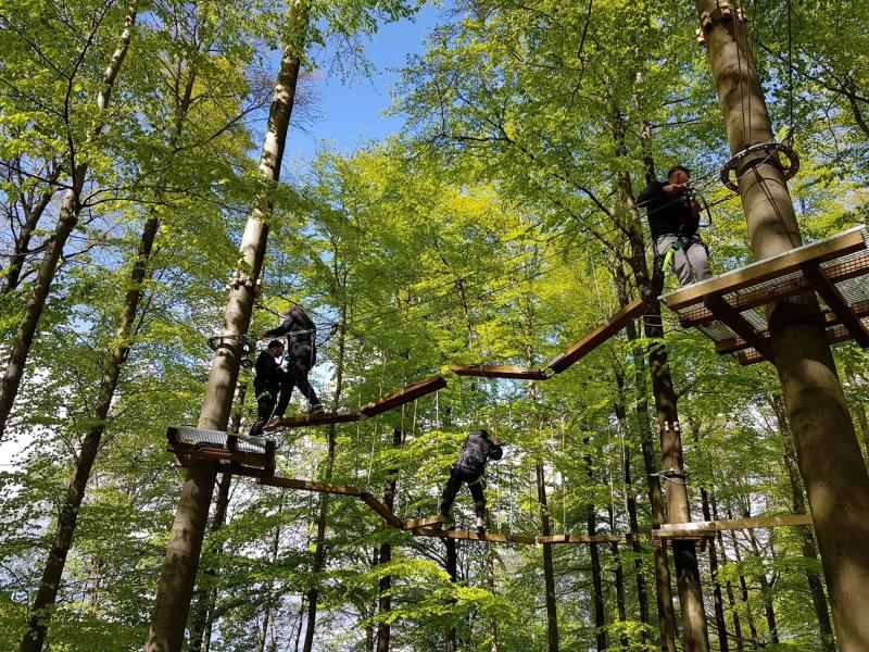 Adventure in the forest with SpaForest - Liège province