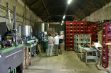 Brewery Caracole - 8