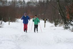 Cross-country ski trails of the Mont Rigi in Province of Liège