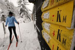 Pistes de ski de fond de Saint-Hubert in Province of Luxembourg