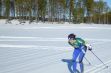 <p>Cross country skiing classes in the Ardennes</p> - 1