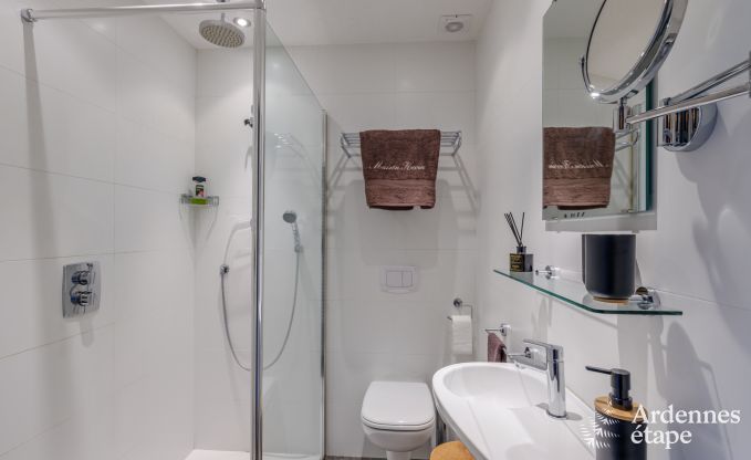 Holiday cottage in Alle-sur-Semois for 9 persons in the Ardennes