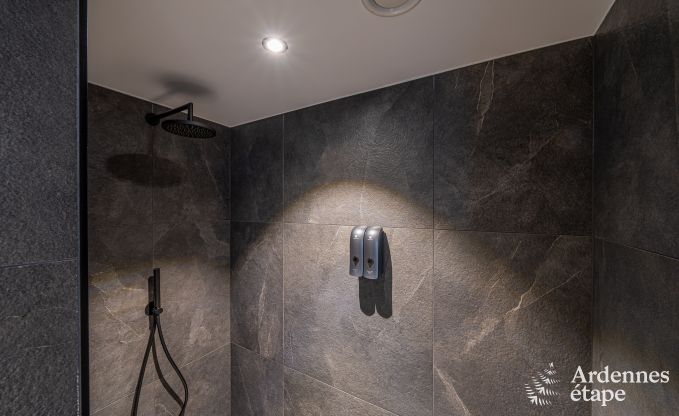 Holiday home with jacuzzi and sauna in Amel, High Fens