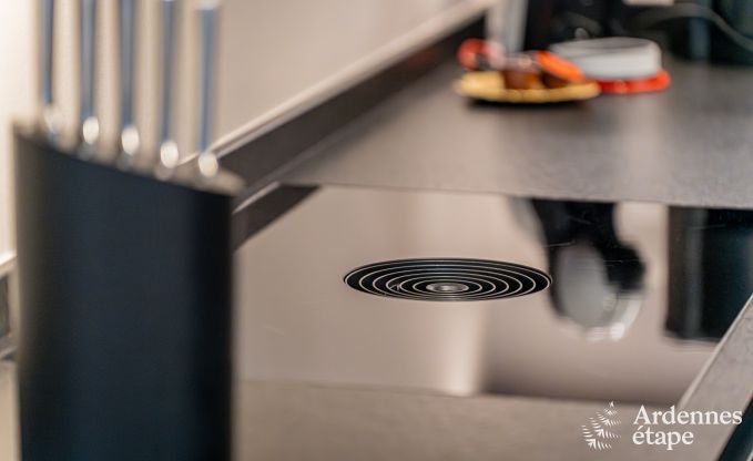 Holiday home with jacuzzi and sauna in Amel, High Fens