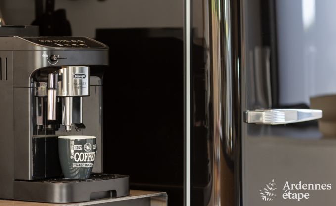 Authentic holiday home for 6 people in Anh�e with private sauna, covered terrace and luxury interior