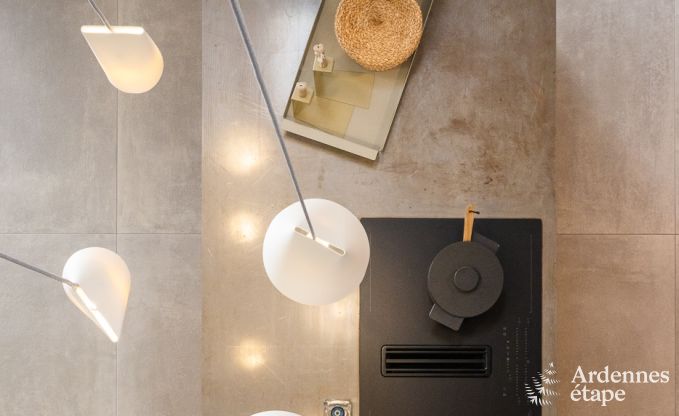 Authentic holiday home for 6 people in Anh�e with private sauna, covered terrace and luxury interior