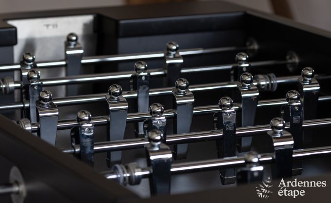 Authentic holiday home for 6 people in Anh�e with private sauna, covered terrace and luxury interior