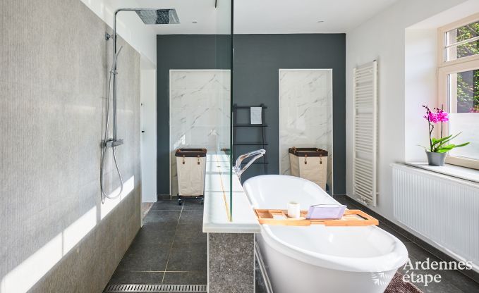 Luxury villa with swimming pool and tennis court for 14 people in Anhe, located in the Moligne valley