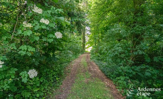 Spacious villa in Assesse, 9 people with 5 bedrooms and your own park