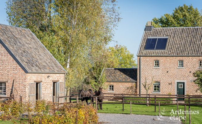Dog-friendly holiday home in Aubel for 4 guests in the Ardennes