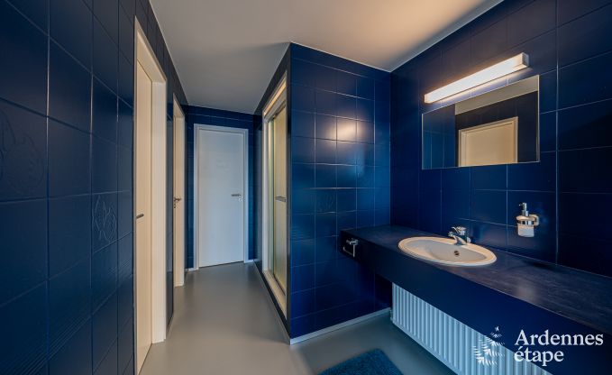 Luxury villa in Aubel for 13 persons in the Ardennes