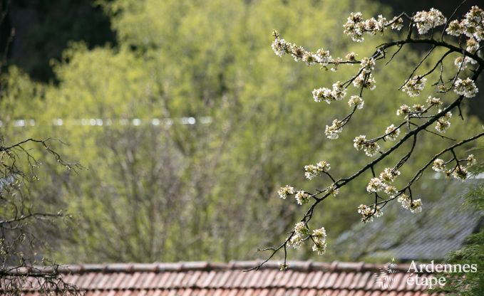 Holiday cottage in Aywaille for 10/14 persons in the Ardennes