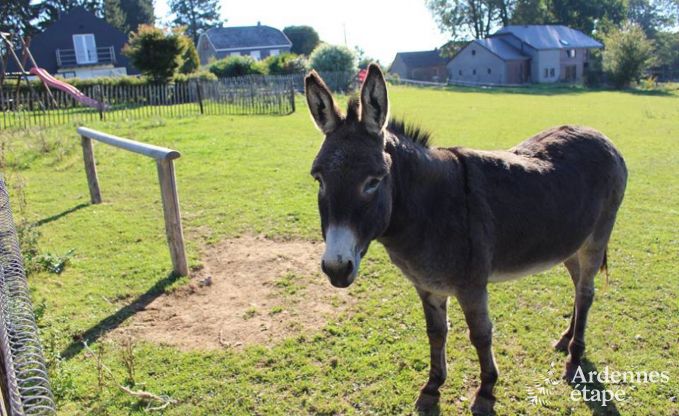Holiday cottage in Baclain (Gouvy) for 6/7 persons in the Ardennes