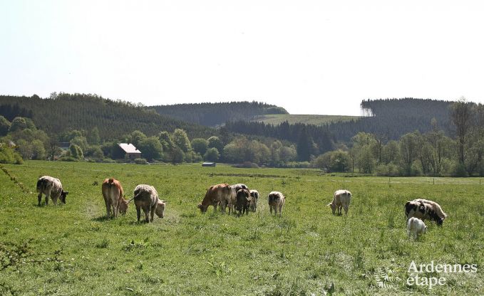 Holiday cottage in Bastogne for 9 persons in the Ardennes