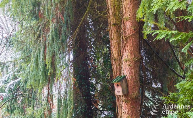 Holiday cottage in Bastogne for 4 persons in the Ardennes