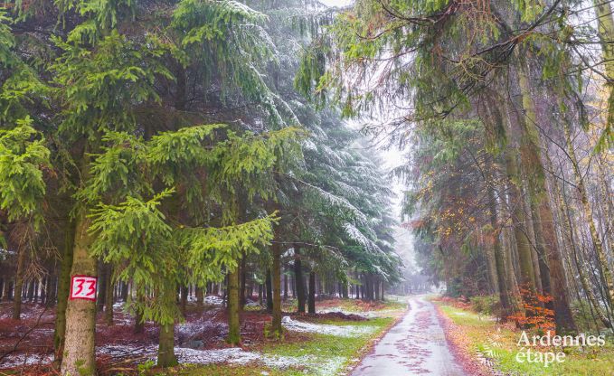 Holiday cottage in Bastogne for 4 persons in the Ardennes