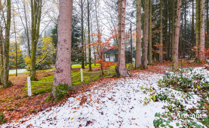 Holiday cottage in Bastogne for 4 persons in the Ardennes