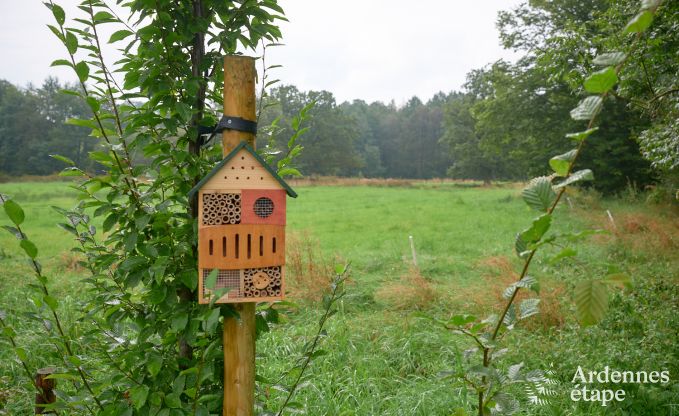 Holiday home in Bastogne: authentic holiday accommodation for 16 people with modern amenities in the Ardennes