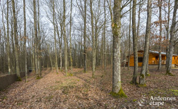 Modern, dog-friendly chalet in the forests around Beauraing, Ardennes