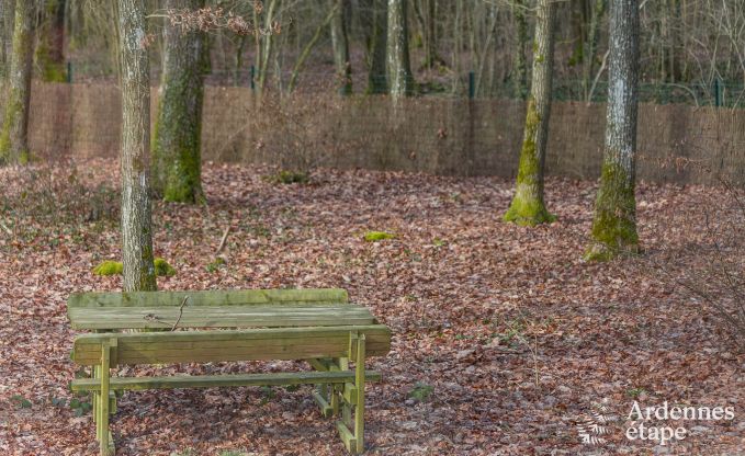 Modern, dog-friendly chalet in the forests around Beauraing, Ardennes