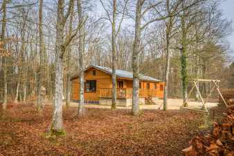 Beautiful chalet for 6 people in Beauring, Ardennes