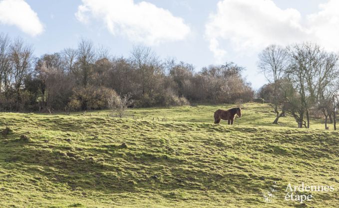 Holiday cottage in Beauraing for 4 persons in the Ardennes