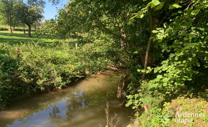 Charming and spacious holiday home with swimming pool in Beauraing, Ardennes