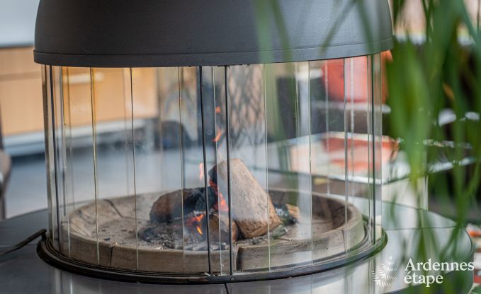 Charming and spacious holiday home with swimming pool in Beauraing, Ardennes