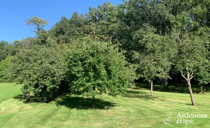 Charming and spacious holiday home with swimming pool in Beauraing, Ardennes