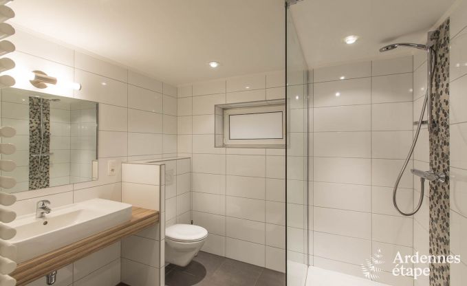 Chalet in Bernister for 15 persons in the Ardennes