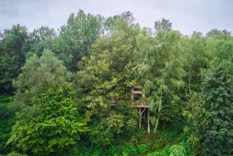 Treehouse for 4/6 people in the Ardennes (Bertrix)