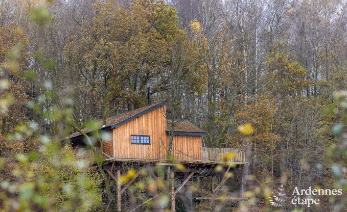 Exceptional treehouse in Bertrix in the Ardennes