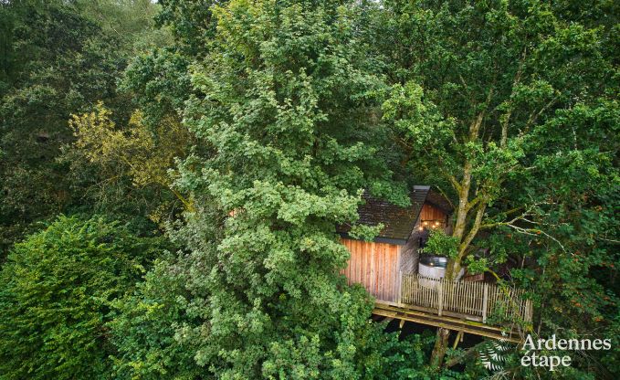 Exceptional treehouse in Bertrix in the Ardennes