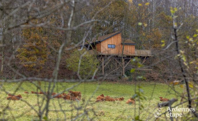 Exceptional treehouse in Bertrix in the Ardennes