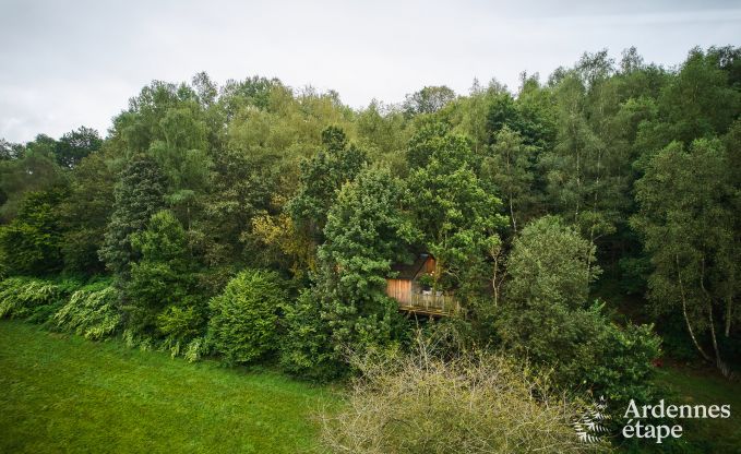 Exceptional treehouse in Bertrix in the Ardennes