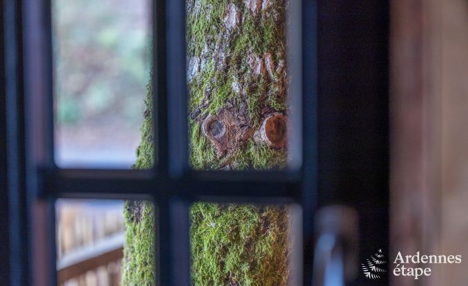 Exceptional treehouse in Bertrix in the Ardennes