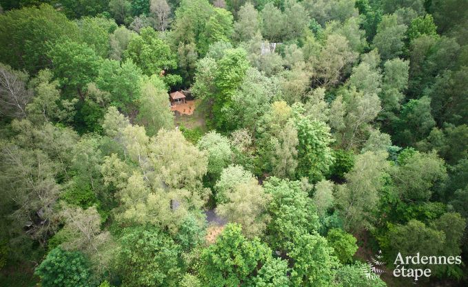 Treehouse in Bertrix, Ardennes