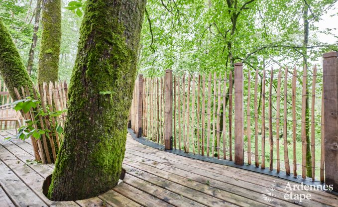 Treehouse in Bertrix, Ardennes