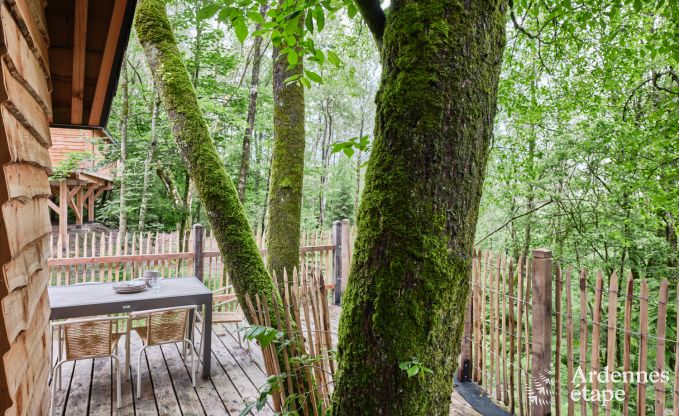 Treehouse in Bertrix, Ardennes