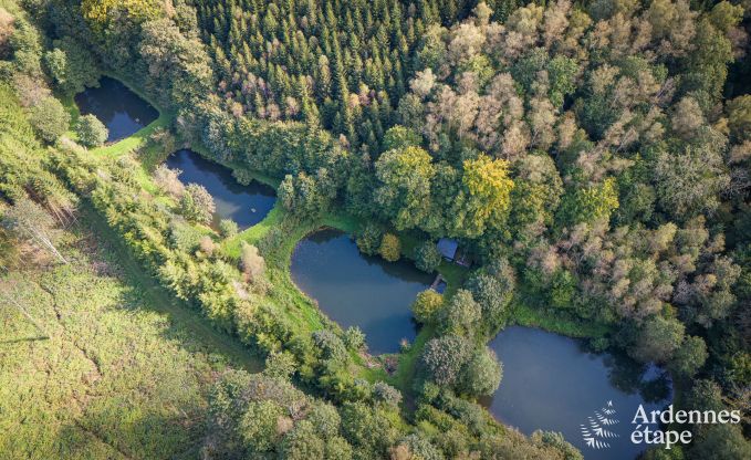 Luxury villa in Bertrix for 11 persons in the Ardennes