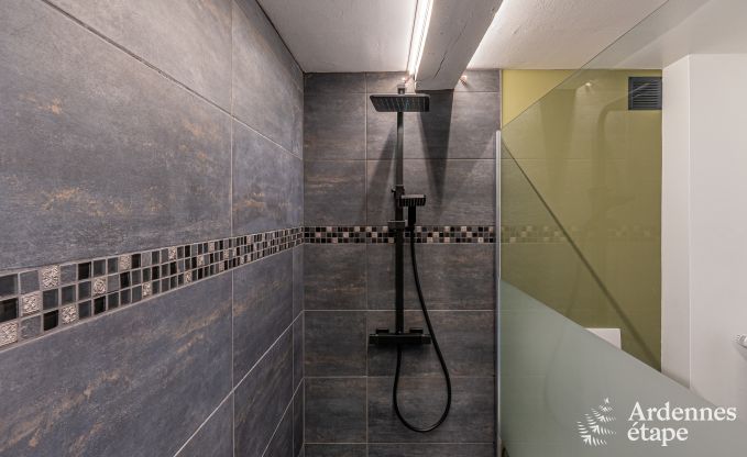 Comfortable holiday home with indoor pool in Bertrix, Ardennes