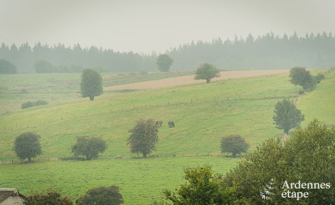 Holiday cottage in Bivre for 6/8 persons in the Ardennes